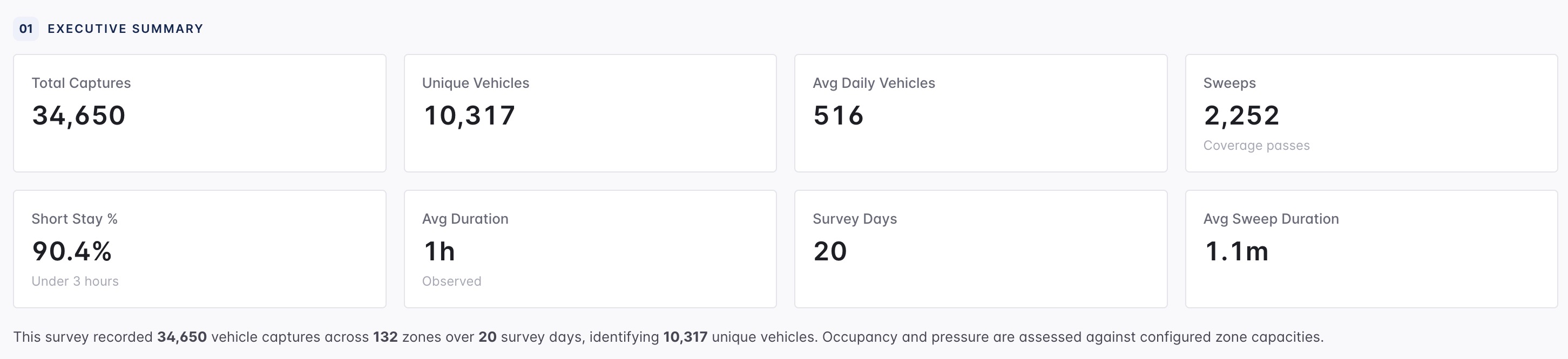 Executive summary cards for a parking survey report